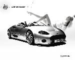 sport-car_wallpaper_13.jpg