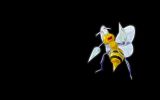 beedrill-pokemon-wallpaper-free-download