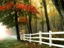 automne-paysage_wallpapers-free_2