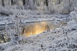 hiver-en-fond-d-ecran_free-download-pictures_neige