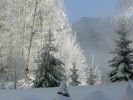 photos-hiver-HD_widescreen_wallaper-to-download_shoot