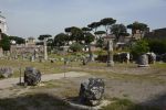 forum-romain_5