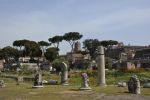 visiter-rome-le-forum-romain_4