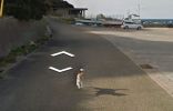 chien-photos-by-Google-Street-View