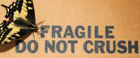 fragile-do-not-crush