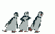 3-pingouins-danse.gif