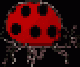 coccinelle4.gif