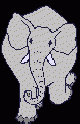 elephant08.gif