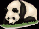 panda01.gif