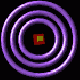 rings_purple_blk.gif