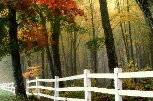 paysages d'automne