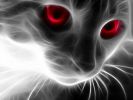 chat-yeux-rouges-fonds-d-ecran-effets-lumiere-et-retouche-photo_01