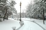 hiver-en-fond-d-ecran_free-download-pictures_city
