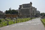 via-sacree_visiter-rome-photos-du-forum-romain_6