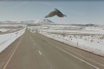 aigle-Google-Street-View-oiseaux
