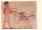 egypte-ancienne-papyrus_03