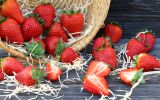 fraises-du-jardin