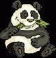 panda03.gif